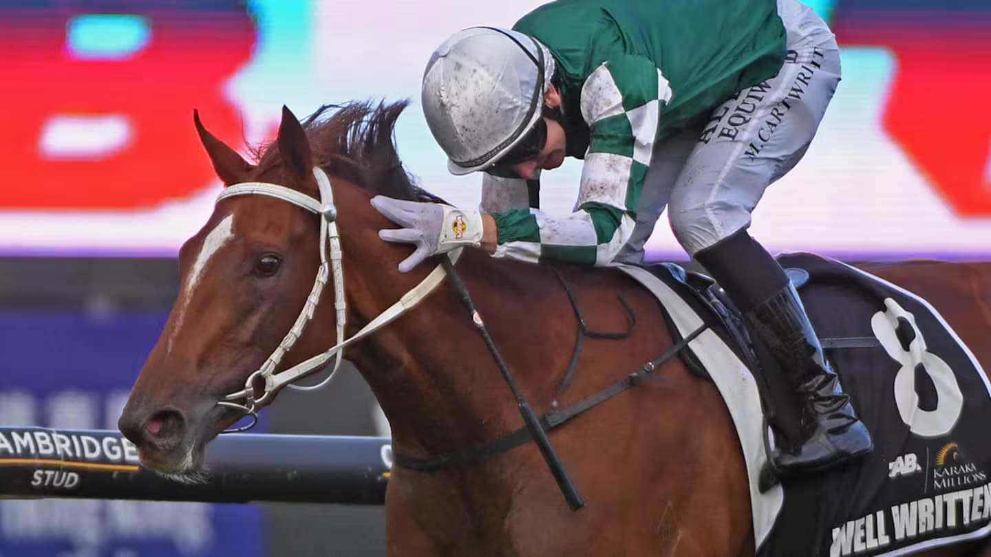 New welfare strategy sets clear, whole of life approach for Thoroughbreds