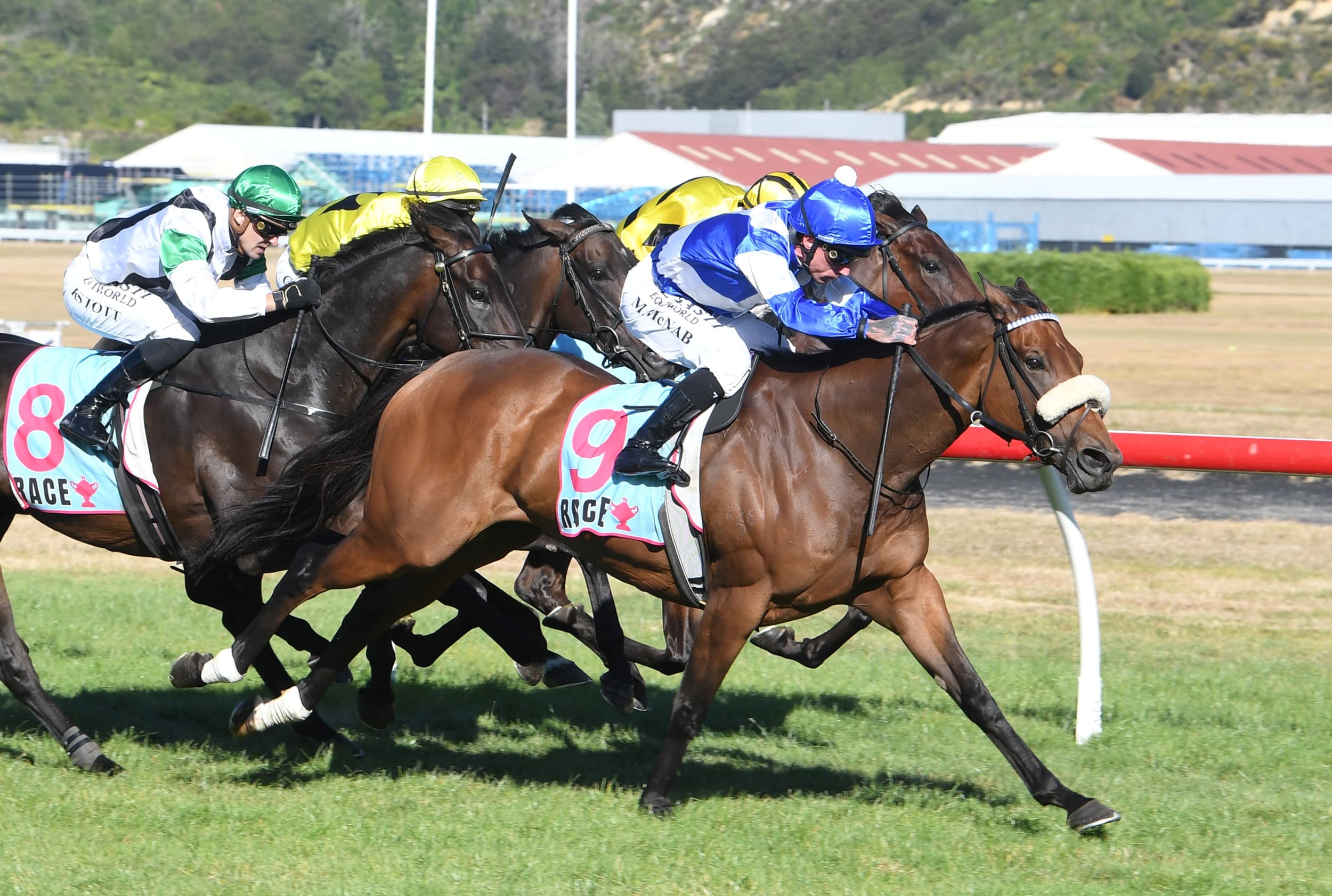 Hopes rest with home team after Melbourne disappointment