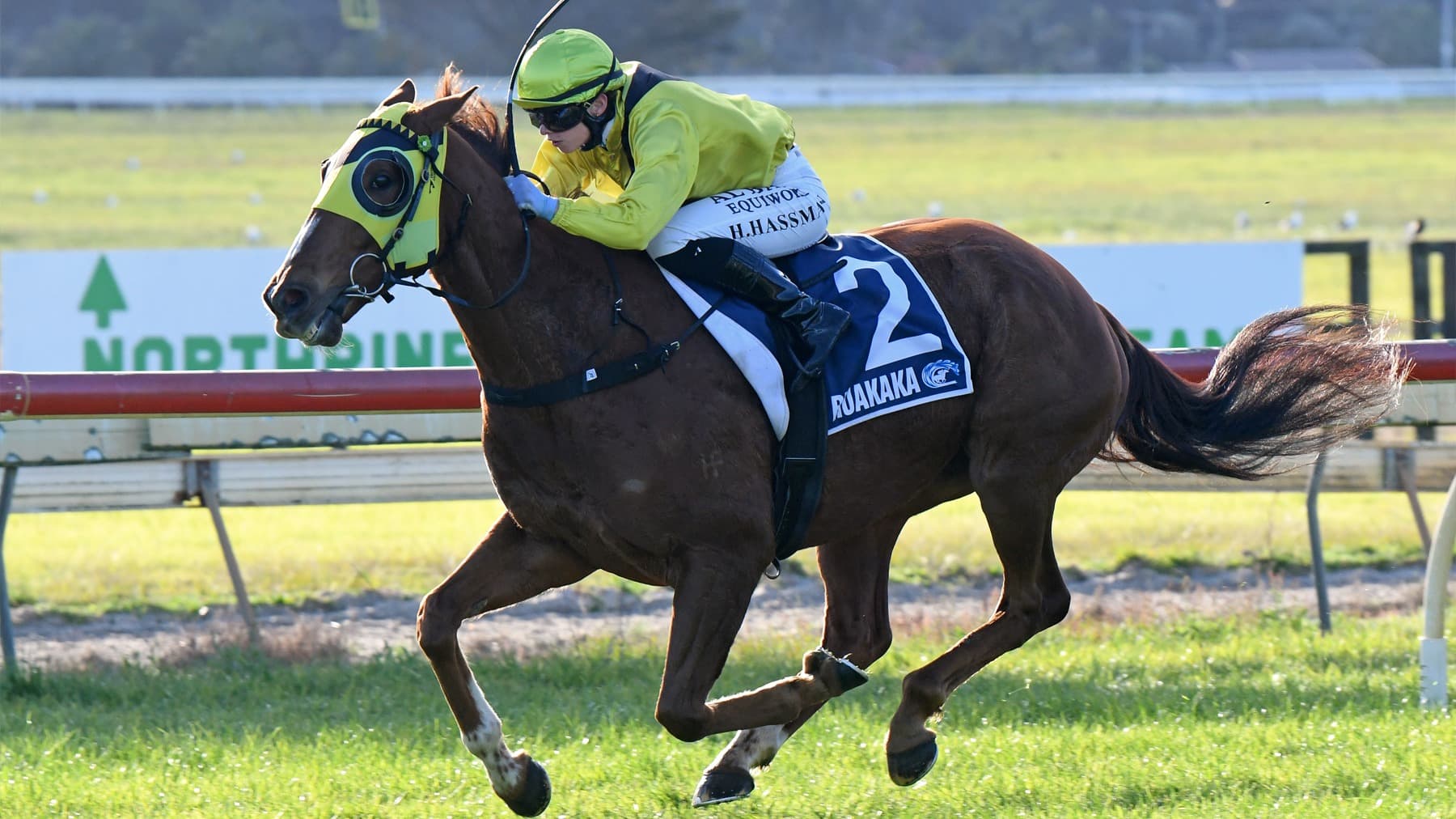 Drop Of Something scores dogged win in Whangarei Gold Cup