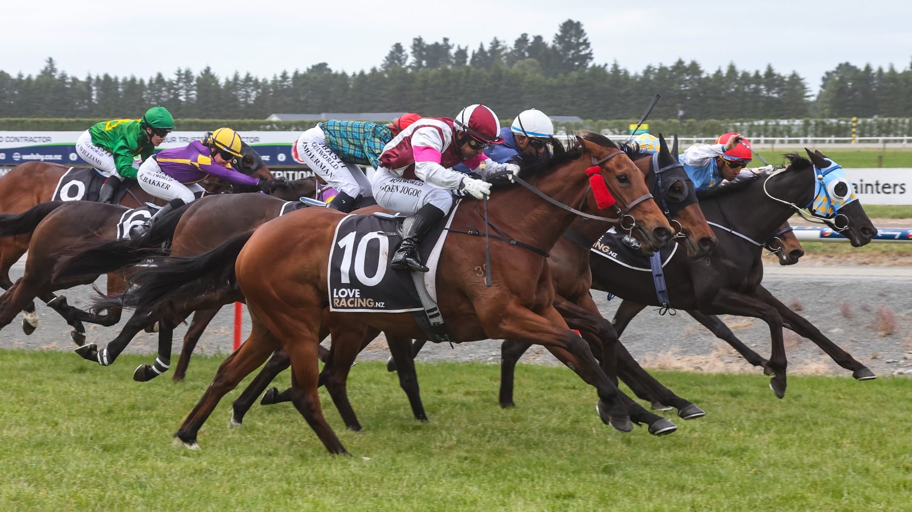 Queen Of Kings wins Ashburton thriller