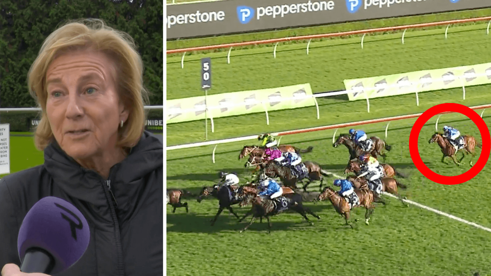“Big sissy”: Wife of trainer “horrified” by Purton ride