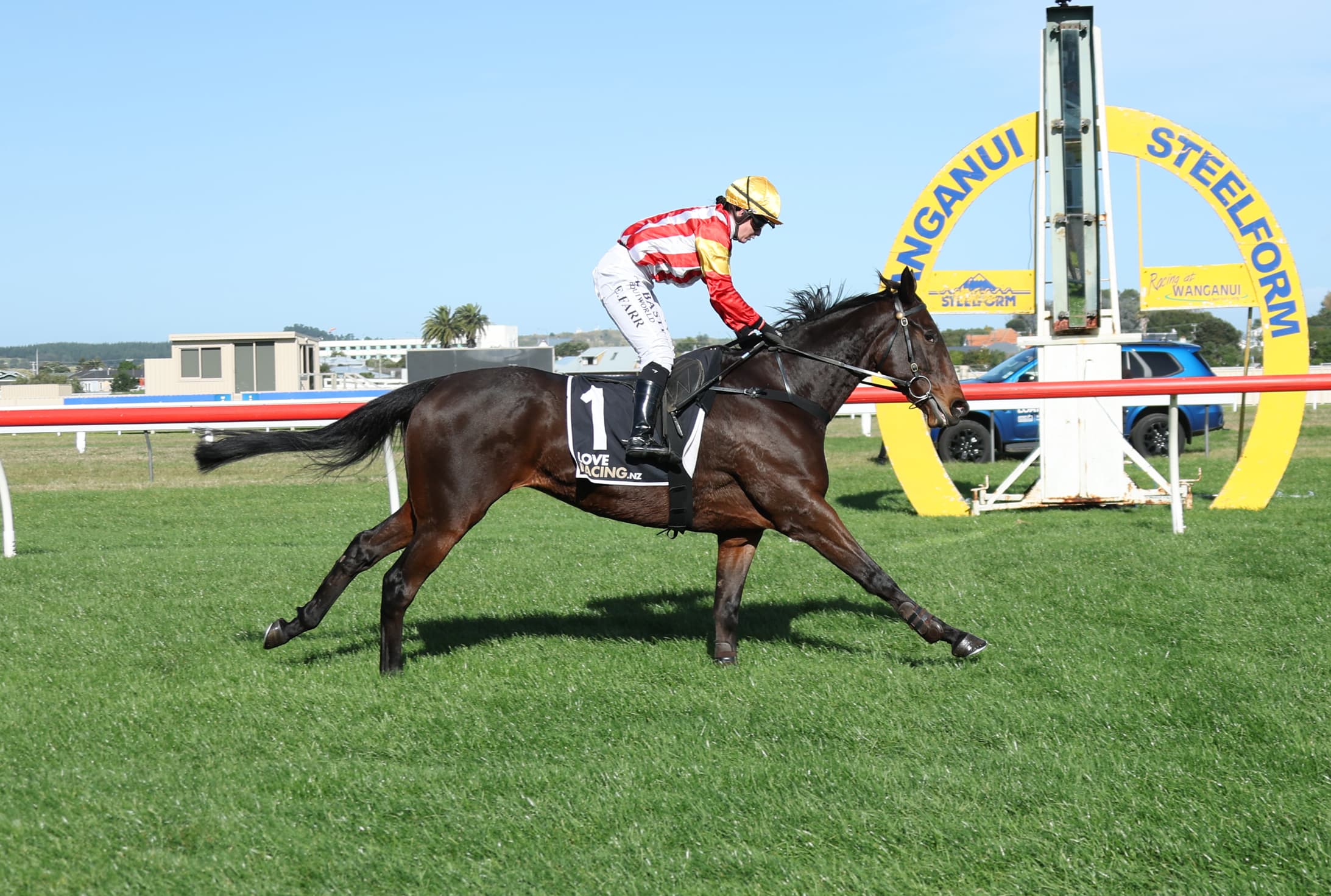 Never Look Back makes winning start to jumps season