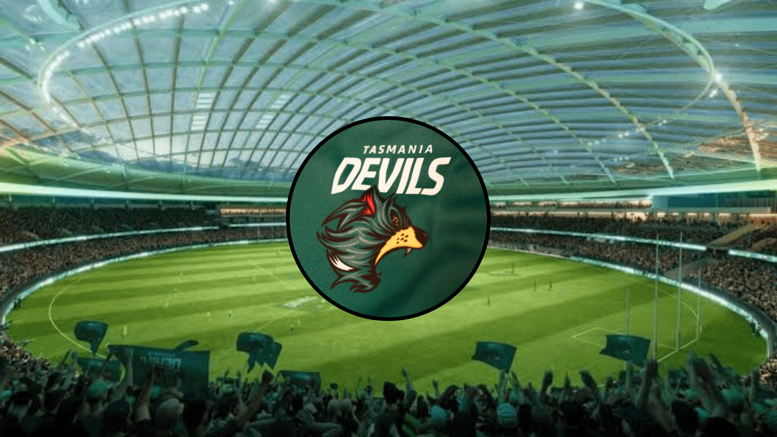 History made: Tassie Stadium receives final vote of approval