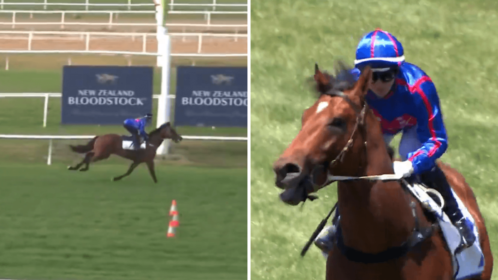 Guest House “couldn’t be going any better” ahead of 2YO Group 1