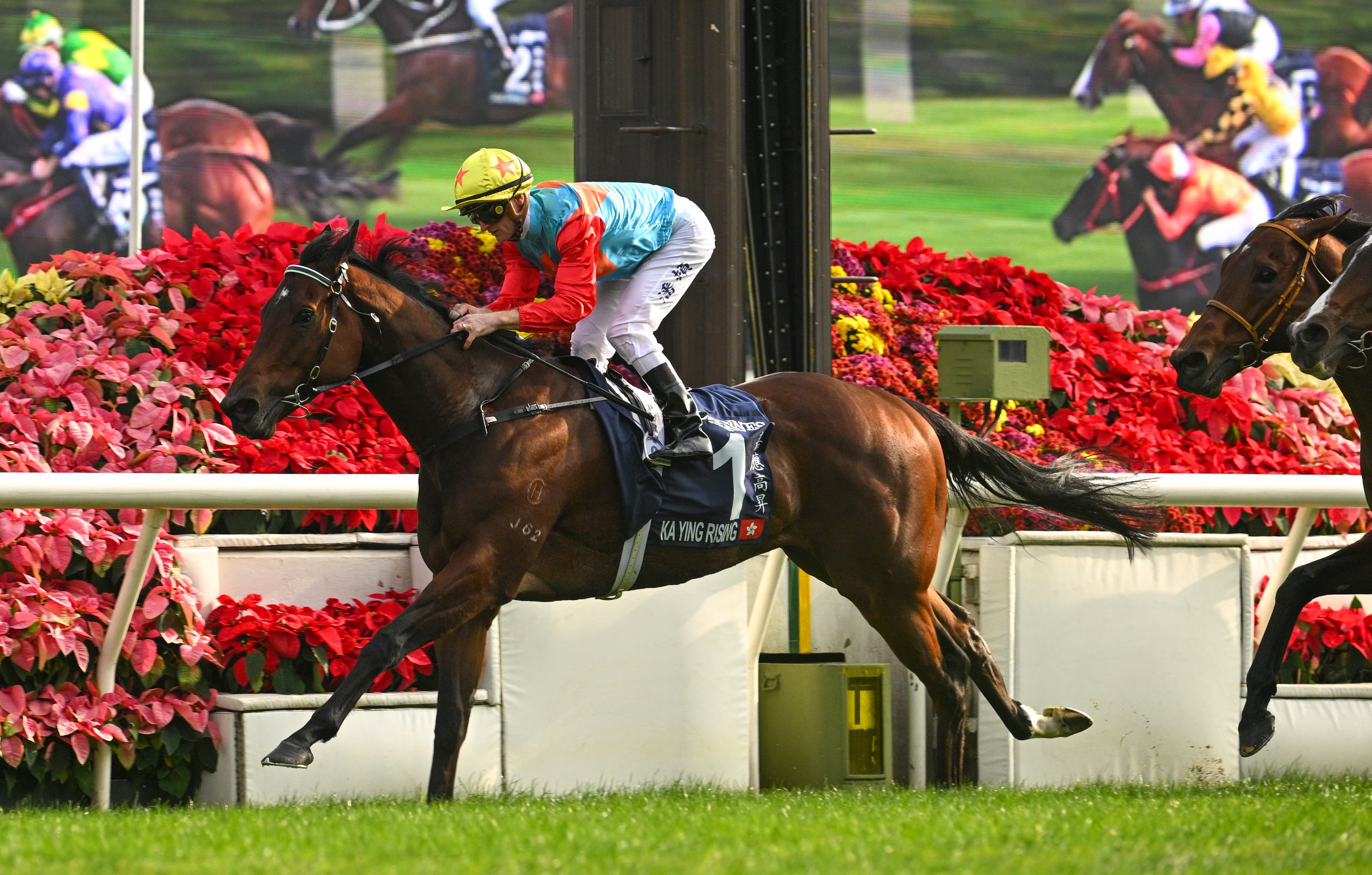 Purton: The “only” chink in Ka Ying Rising’s armour