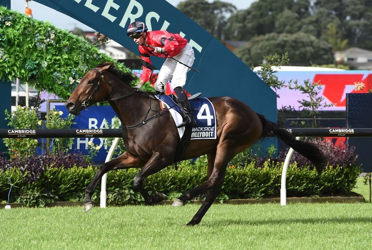 Derby winner Dee Ellerslie-bound again