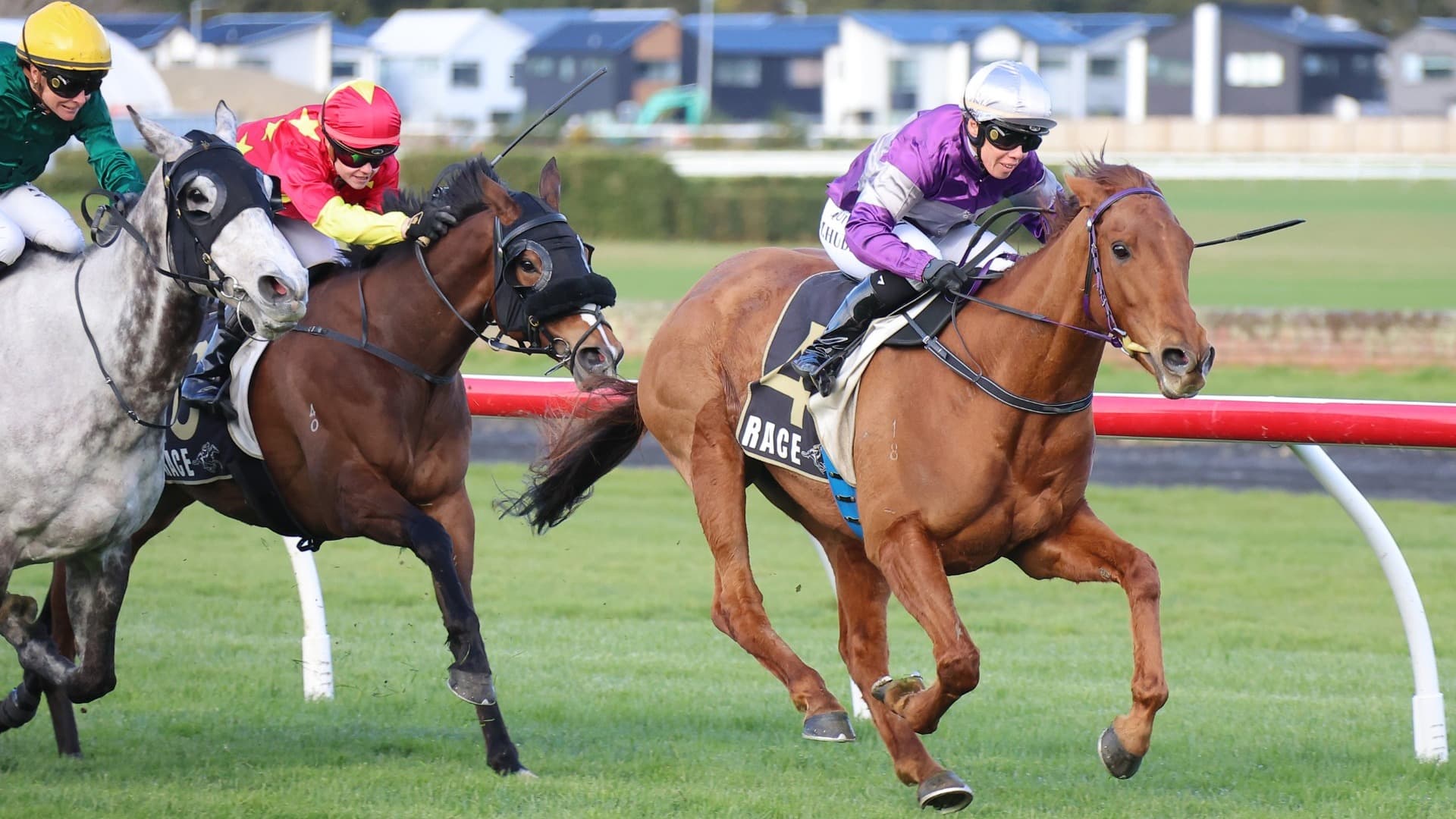 Ears Back claims another northern prize