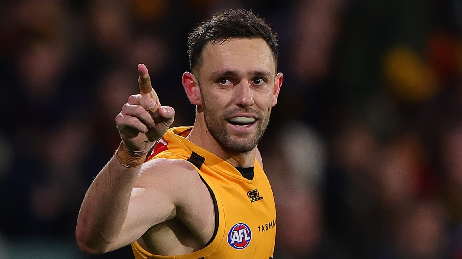 Hawks veteran takes out club best and fairest