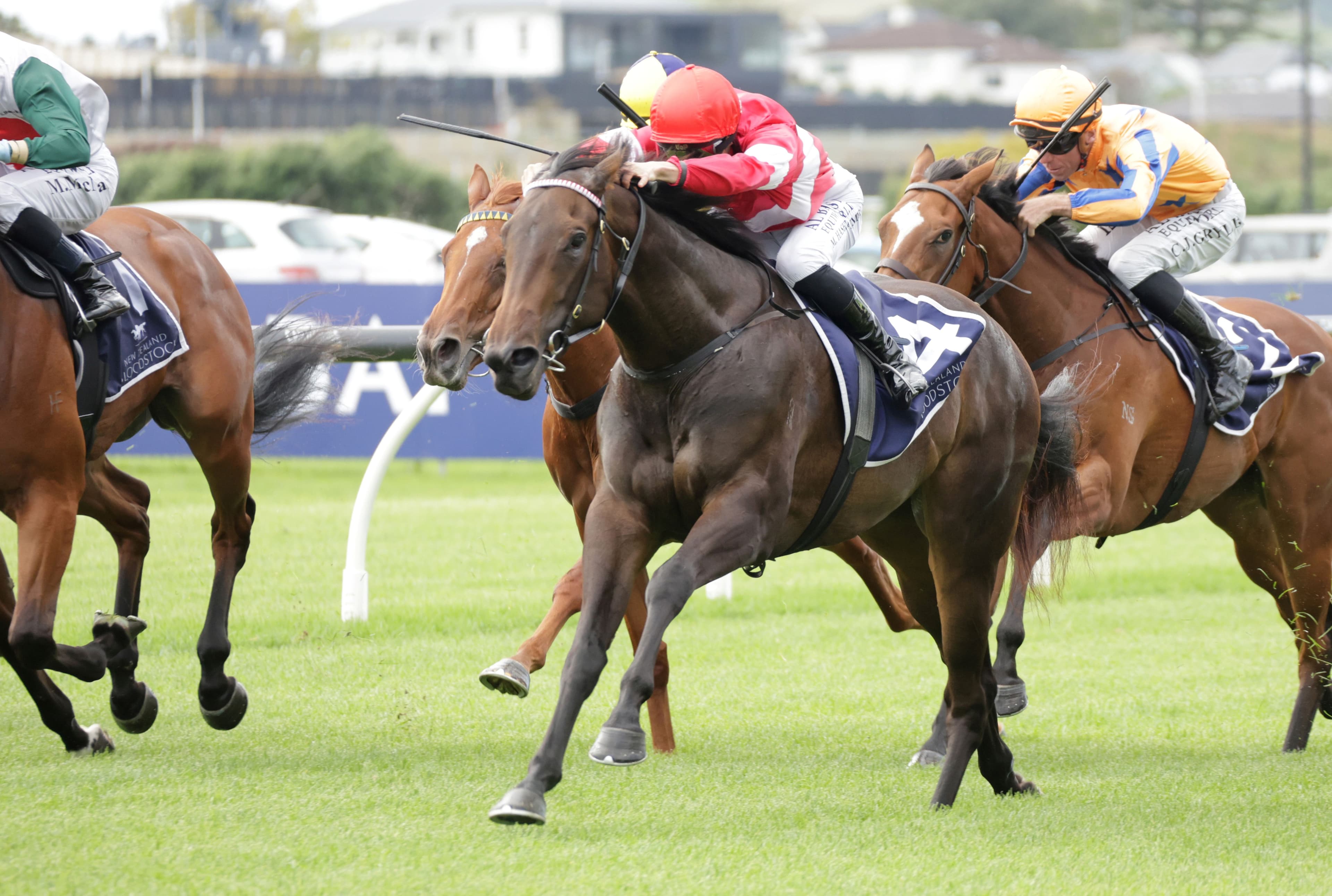 Wonderful weekend for Westbury