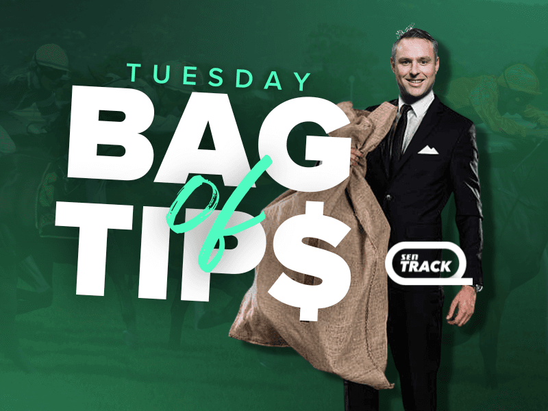 SENTrack: Tuesday's Bag Of Tips (12/11)