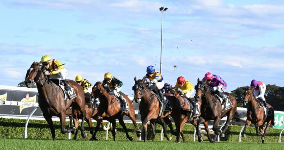 The UPC Showdown Roughie Report Caulfield, Rose Hill, Ascot and Doomben (30/11)