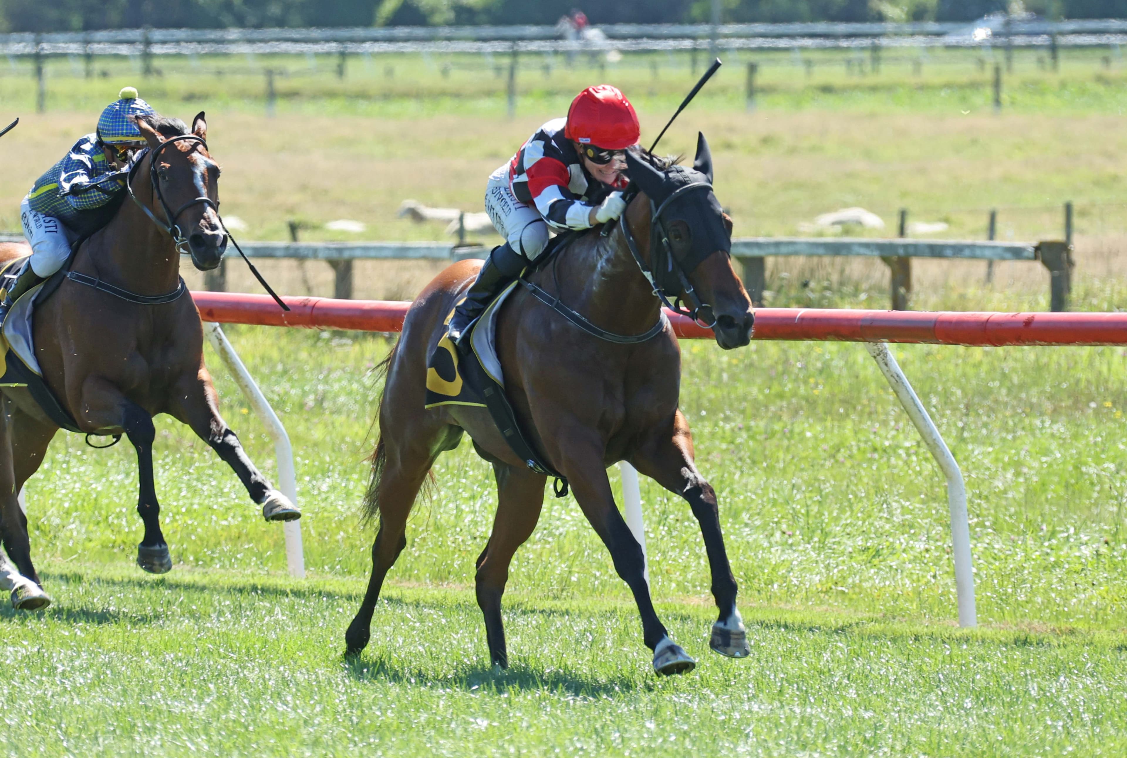 Maiden win sparks stakes tilt for promising filly