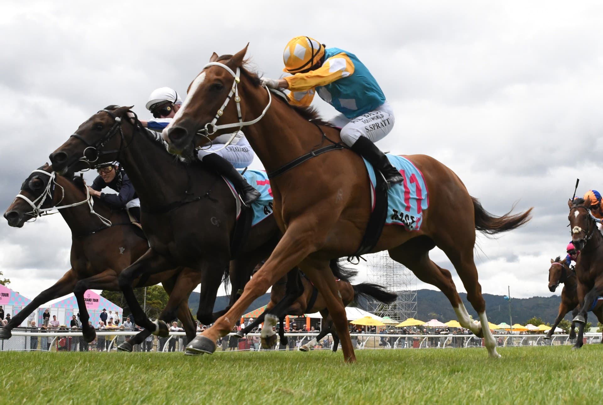 Trainer marshalling 3YO troops