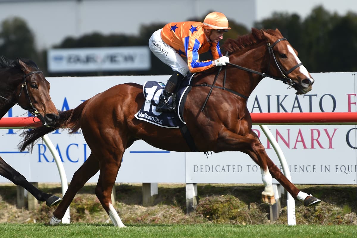 Full circle moment for retiring Wild Night