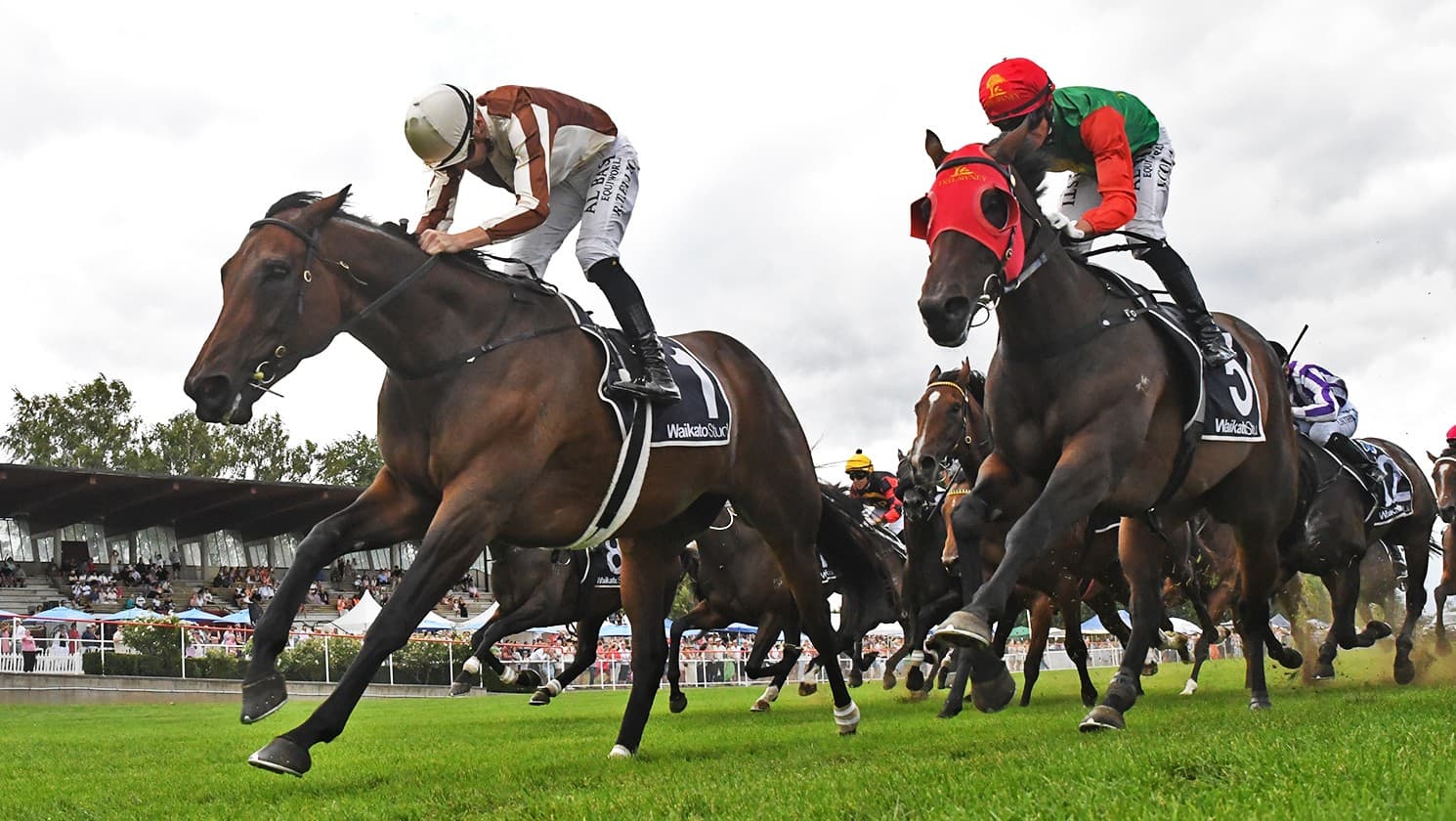 All eyes on Legarto in Breeders’ Stakes on Champions Day