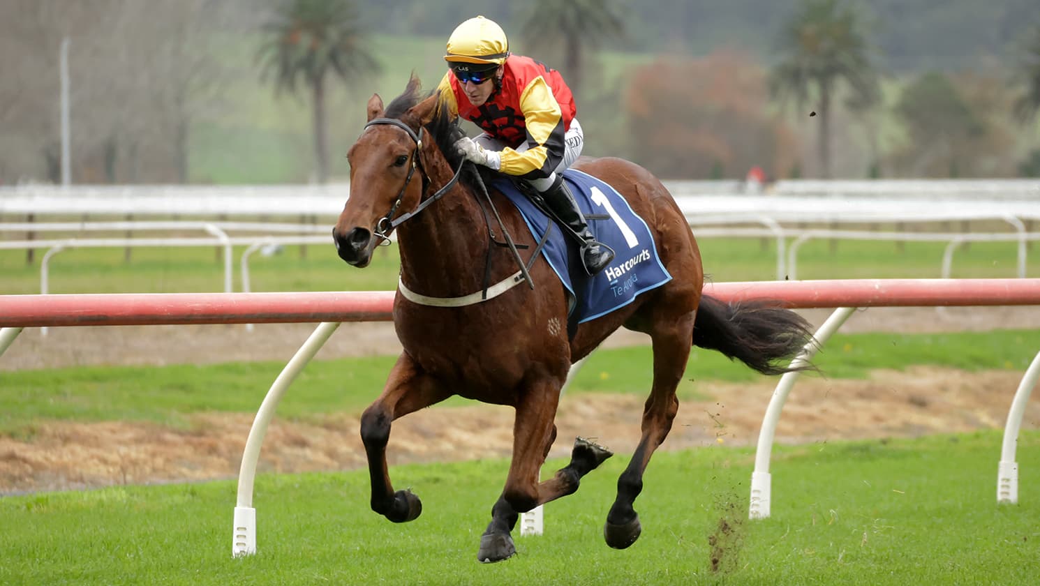Maiden win just what the doctor ordered