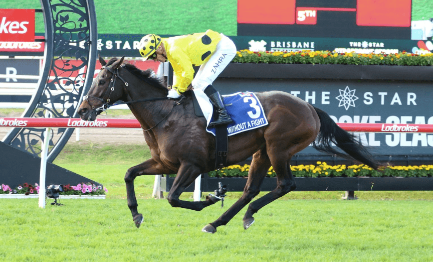 SENTrack: Chris Nelson's Saturday best bets at Eagle Farm (21/12)