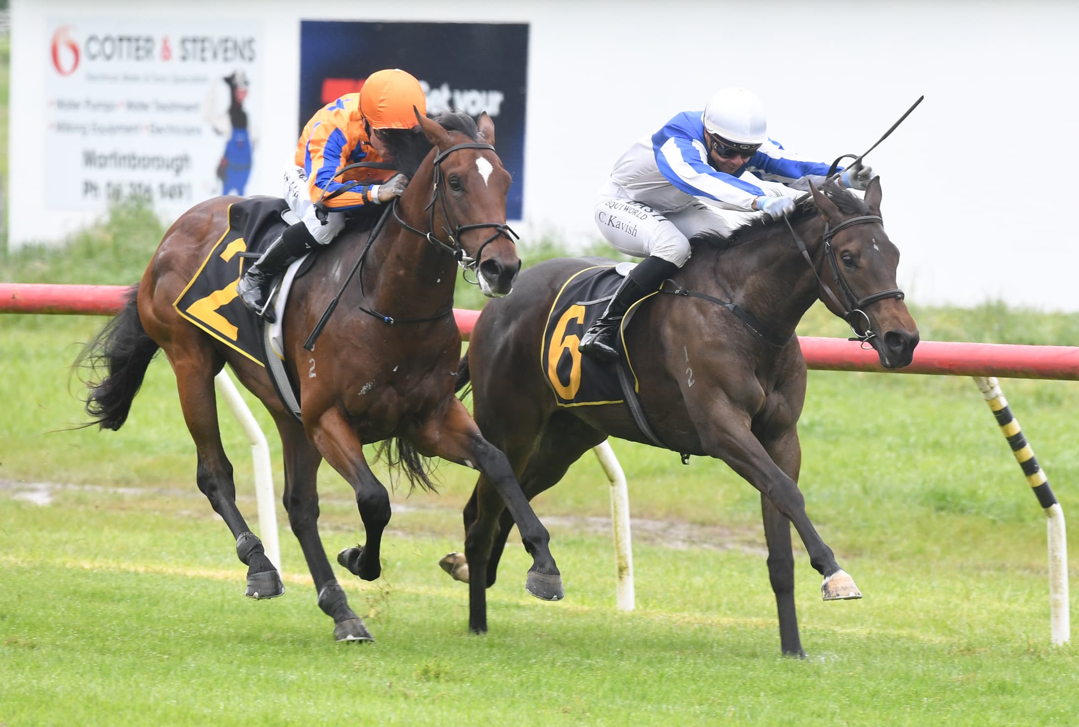 Abbakiss on the board at Tauherenikau