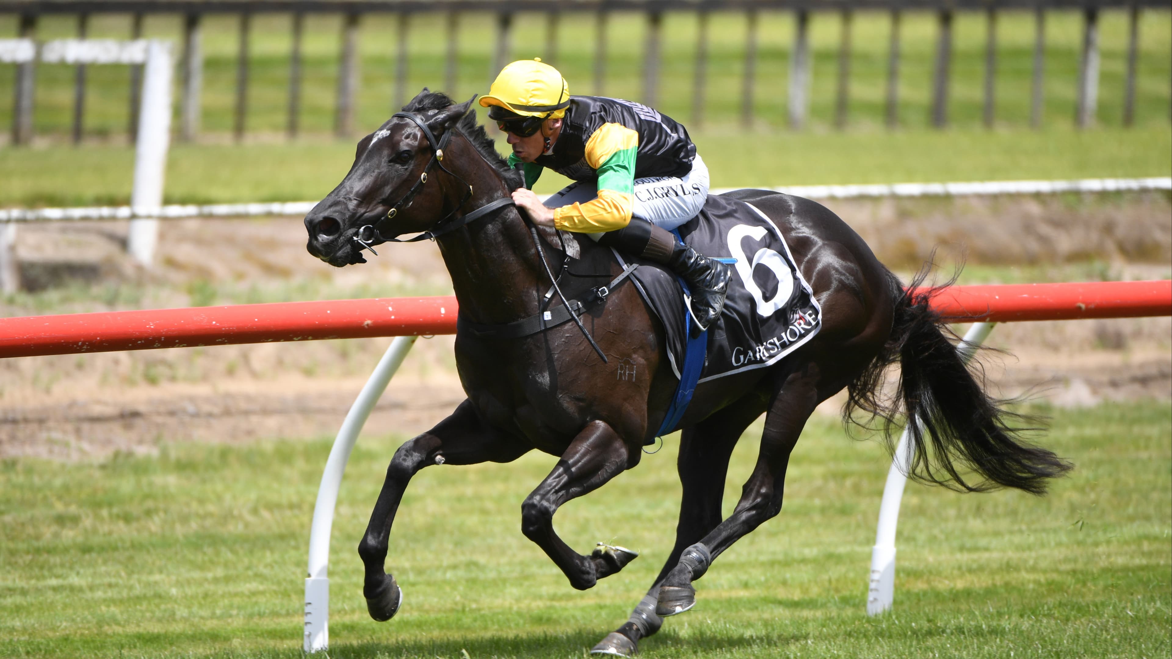 Forsman holds strong hand at Ōtaki