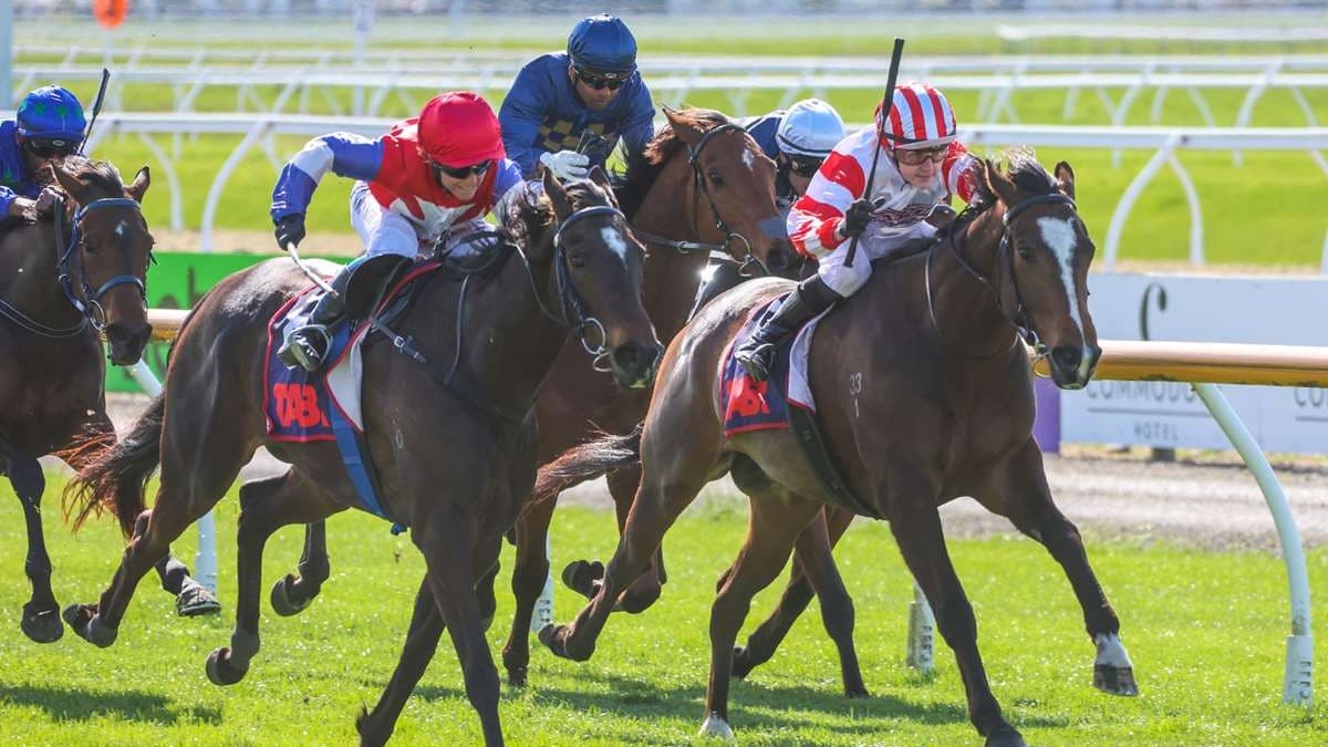 Waller holds gun hand for Melbourne Cup