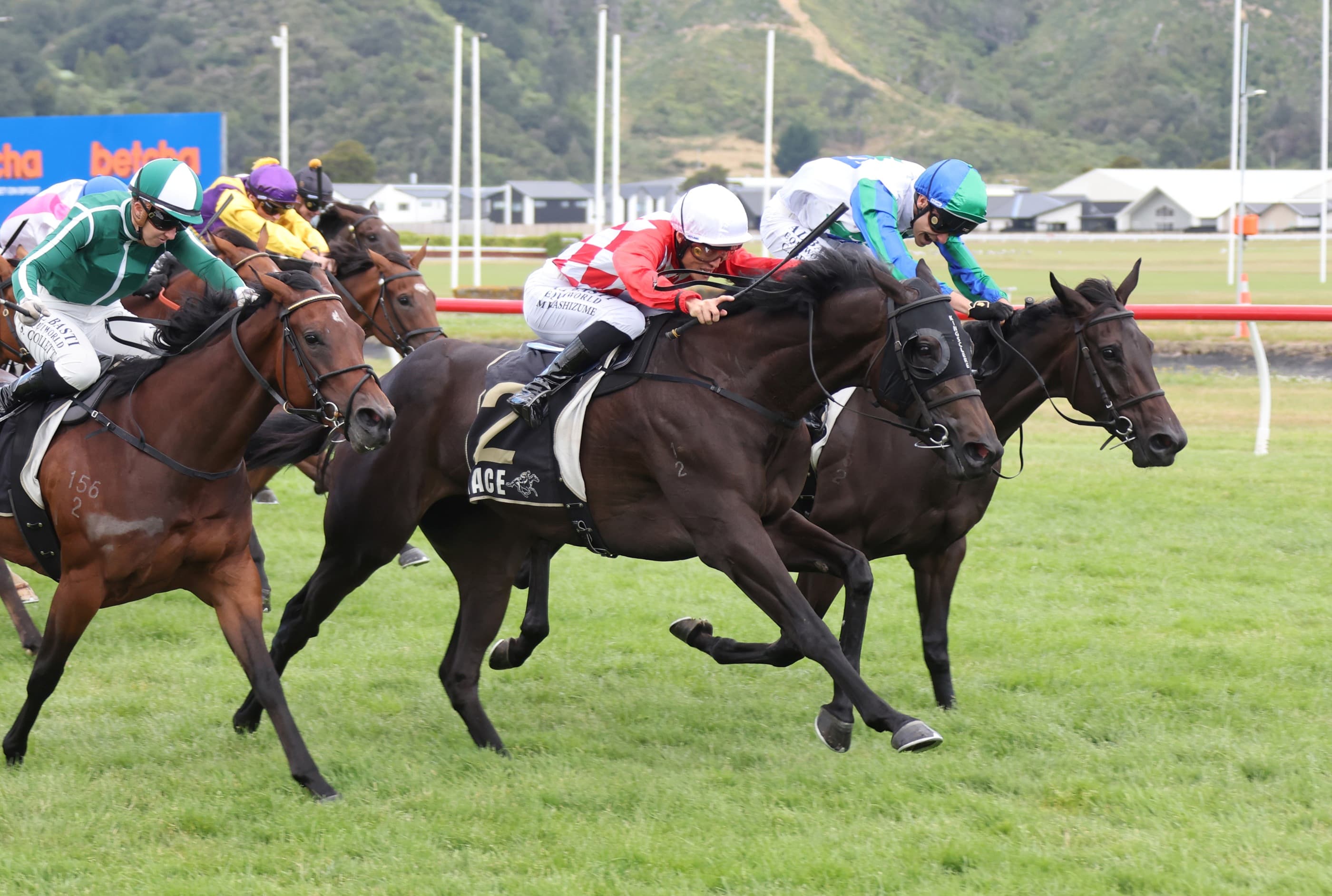 James and Wellwood quinella Desert Gold Stakes