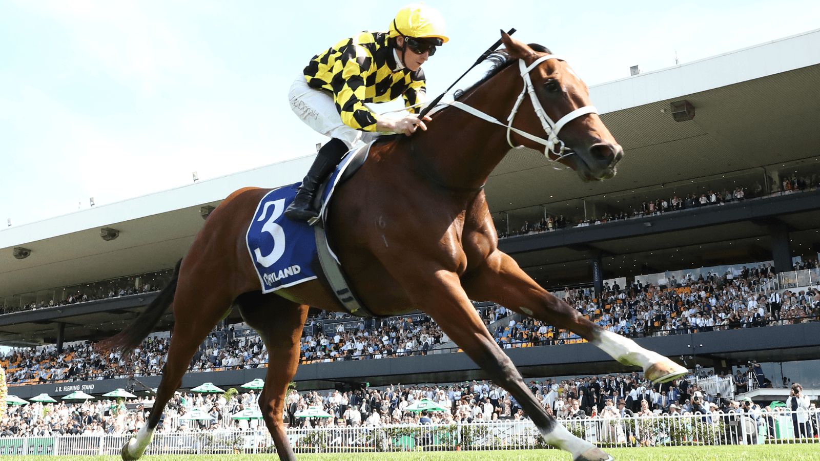 Star mare has Golden Eagle at “her mercy”