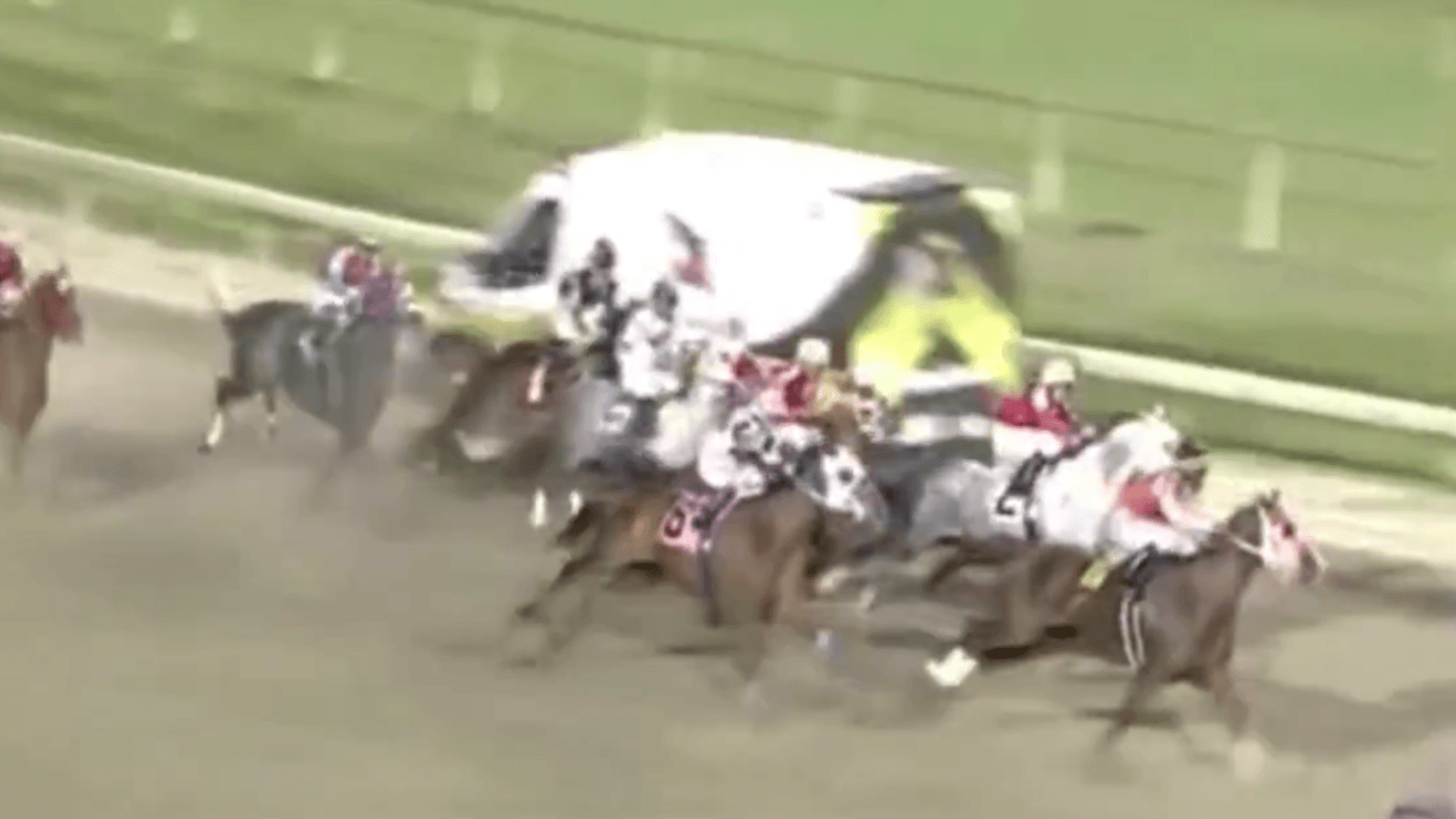 Near miss: Jockeys and horses avoid ambulance carnage