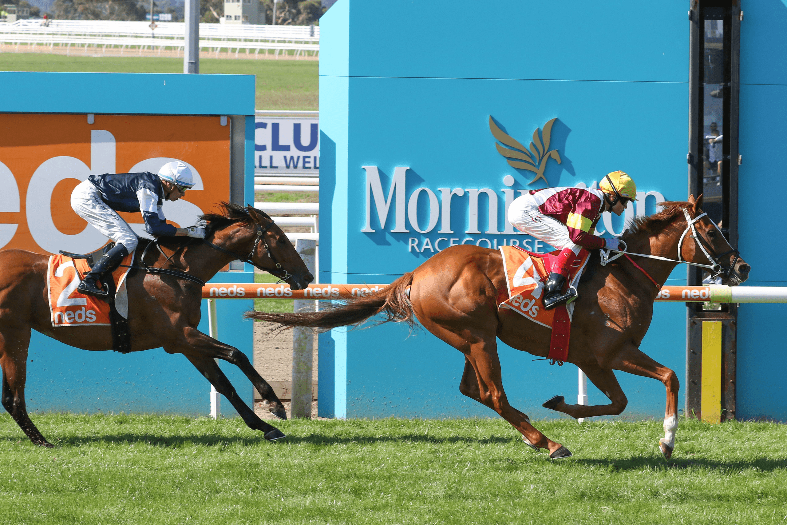 SENTrack: Wednesday best bets at Mornington, Strathalbyn, Wyong, Ipswich & Launceston (11/12)