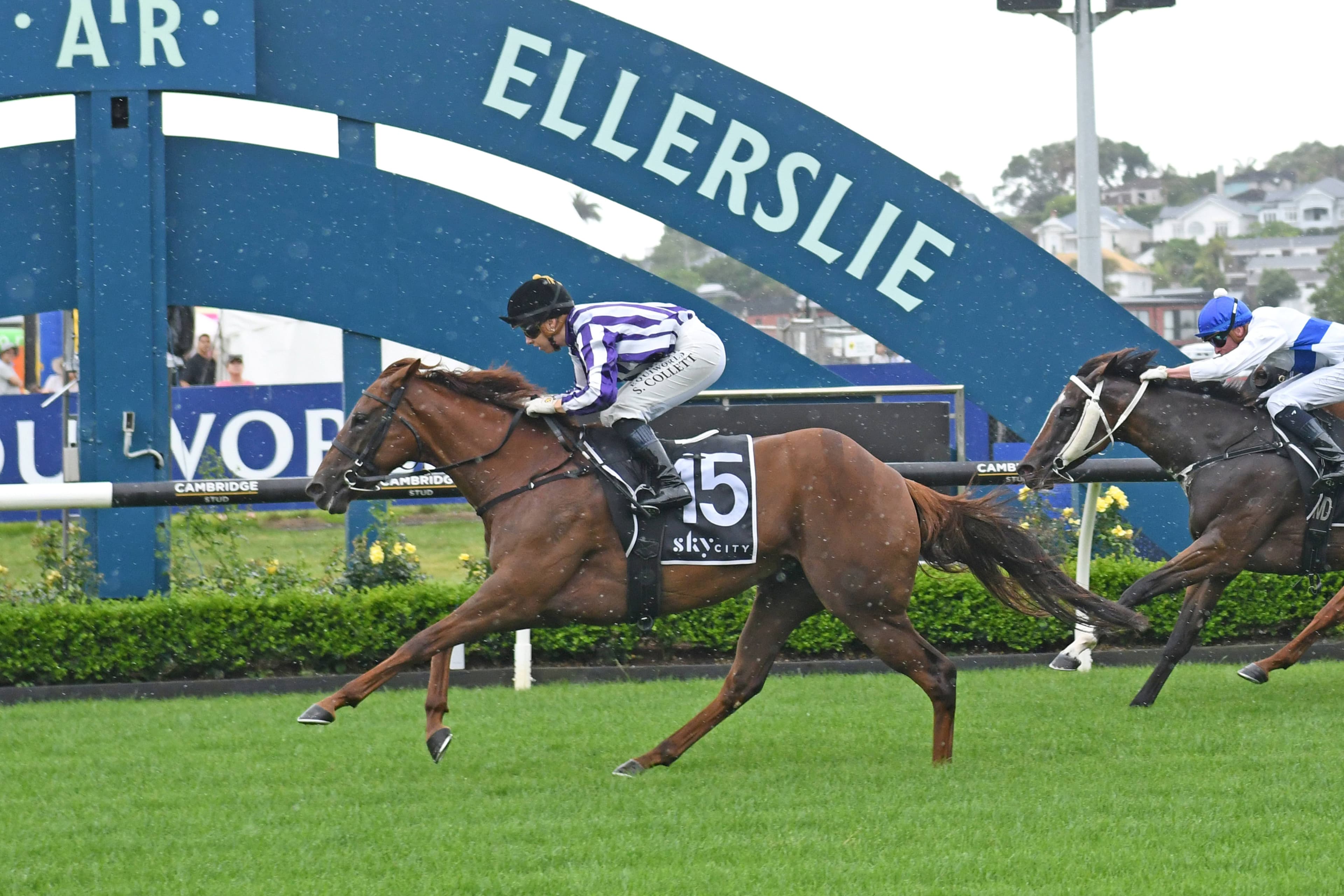 Tyro trainer seeking special result on Matamata Breeders’ Stakes day