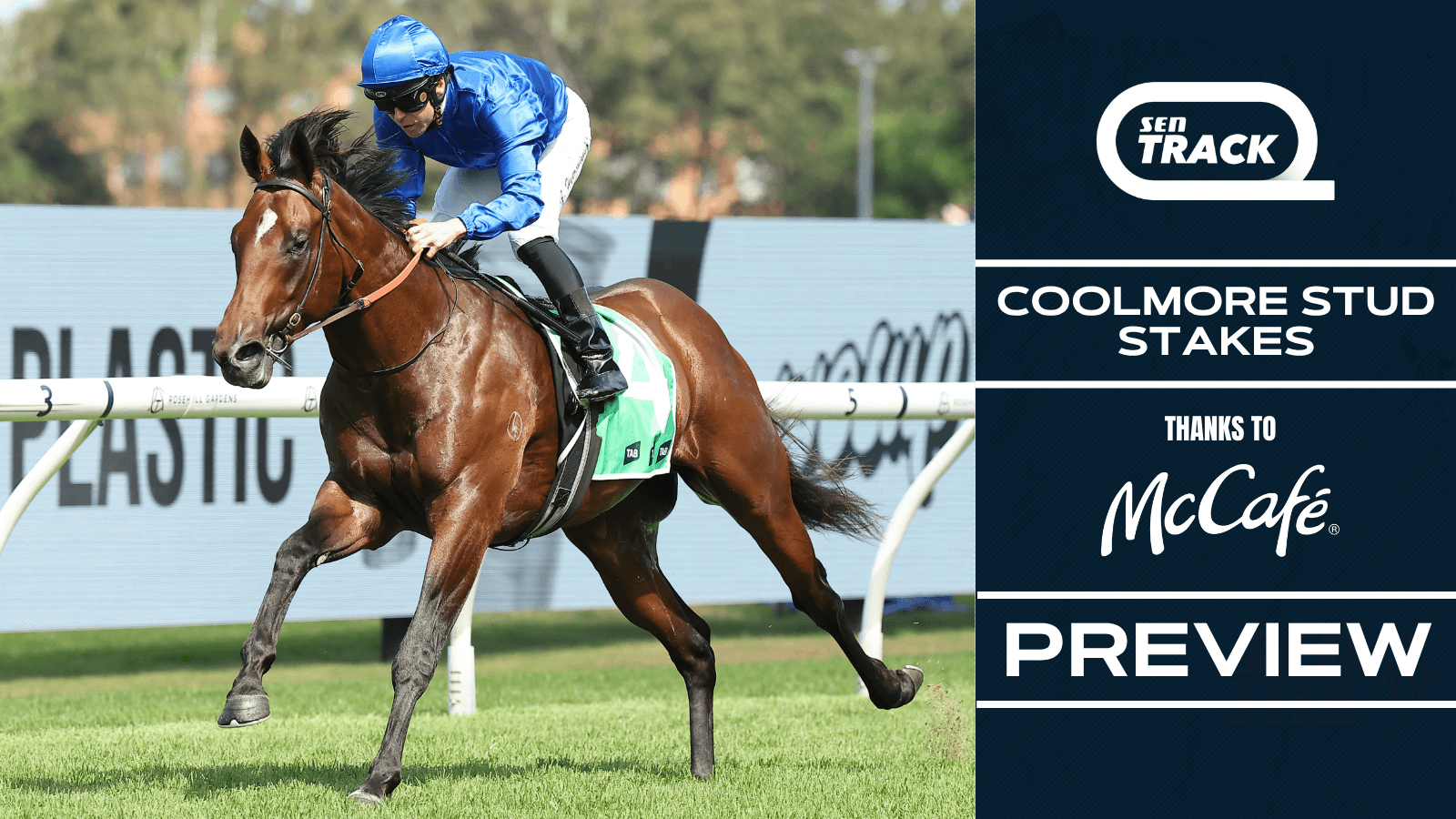 The horse to beat in the 2025 Group 1 Coolmore Stud Stakes