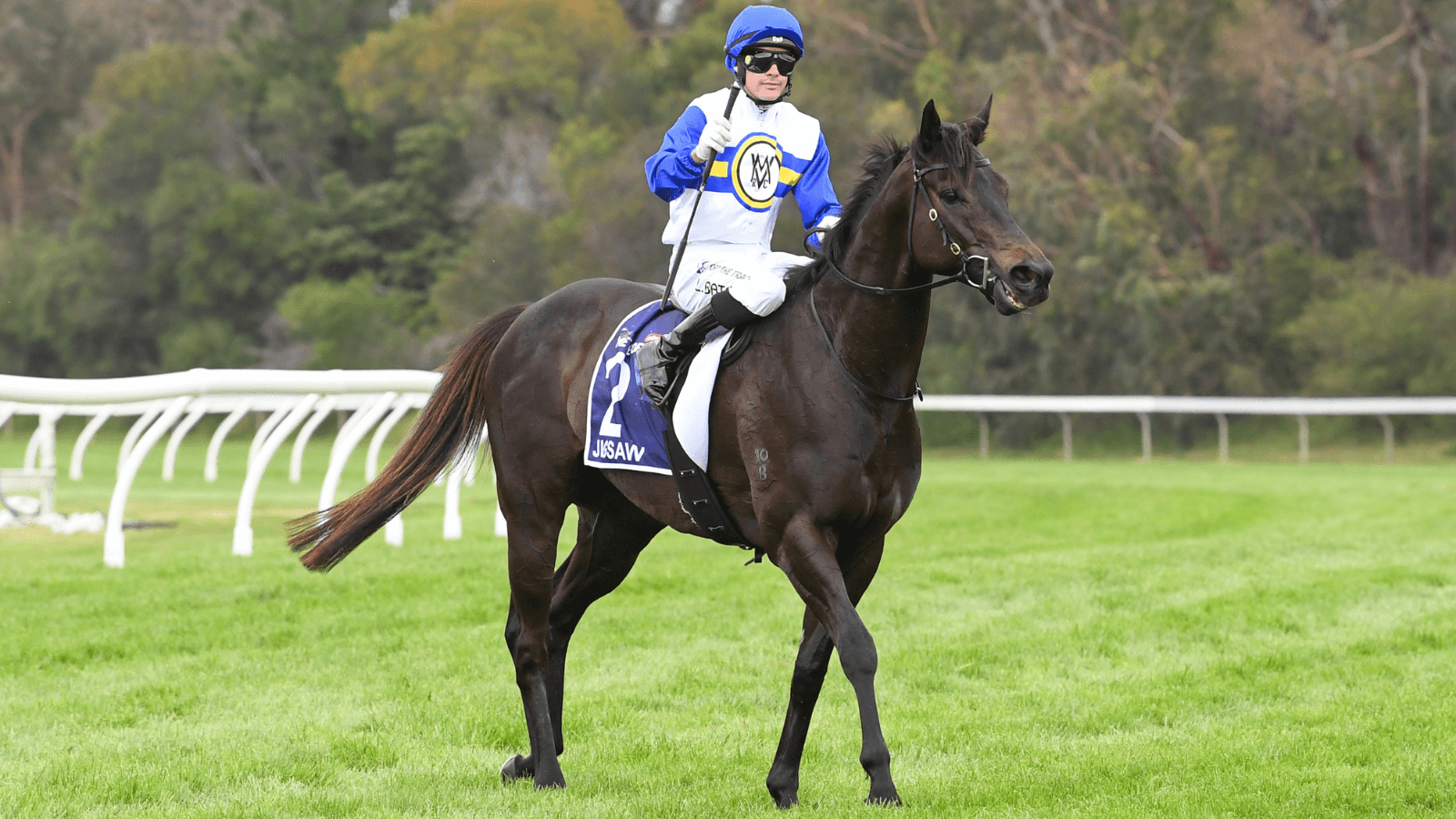 Everest bound? Why Jigsaw "deserves" crack at $20 million sprint