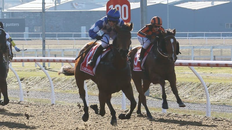Tasracing's Sunday best bets at Devonport (17/08)