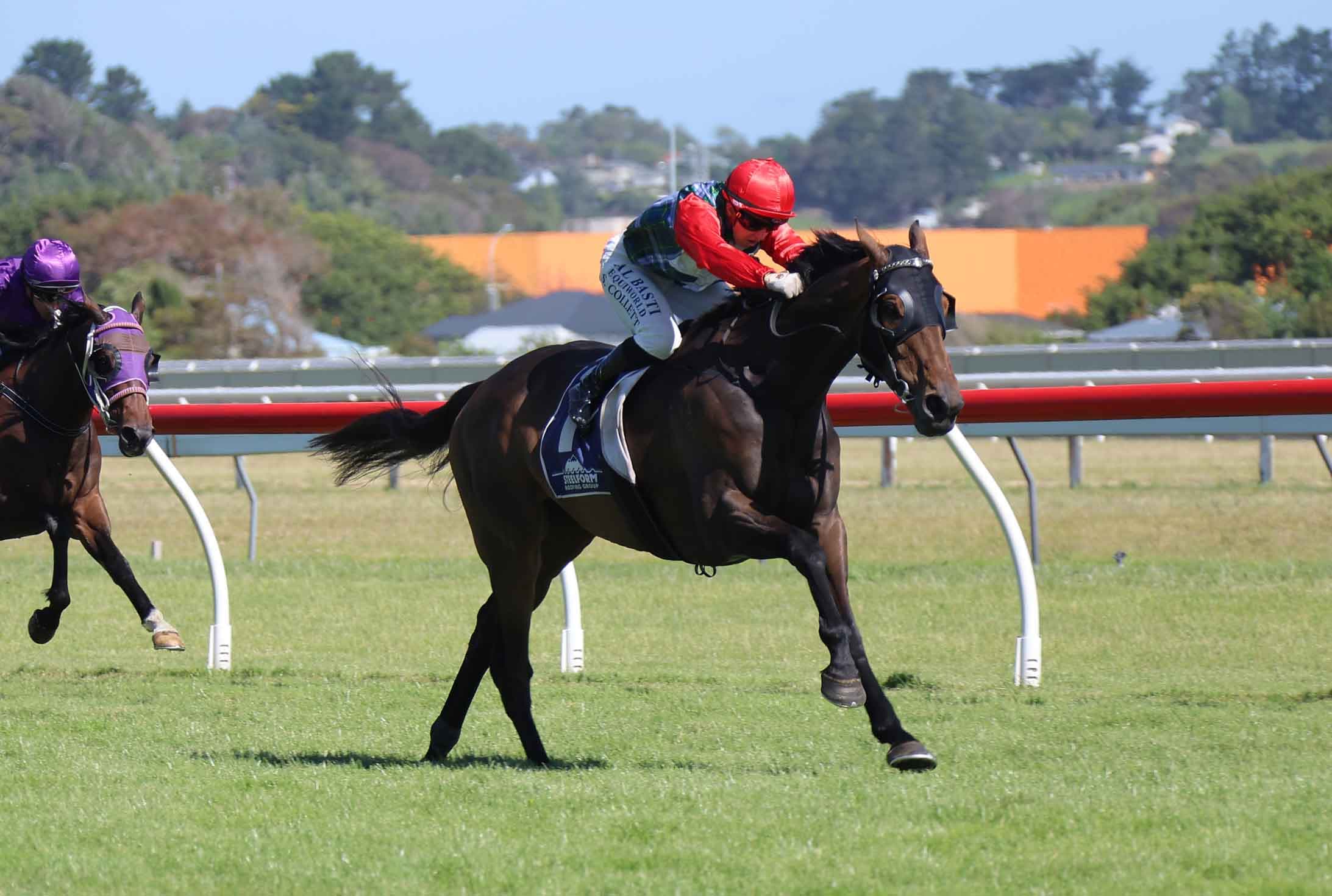 Favourite salutes in Wanganui Cup