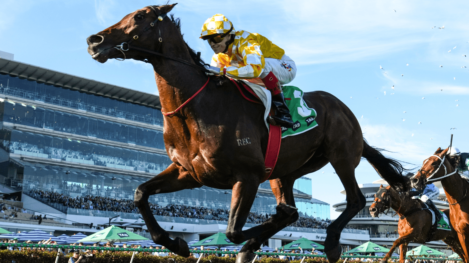 "It’s black and white": Sir Delius may be set for a long spell