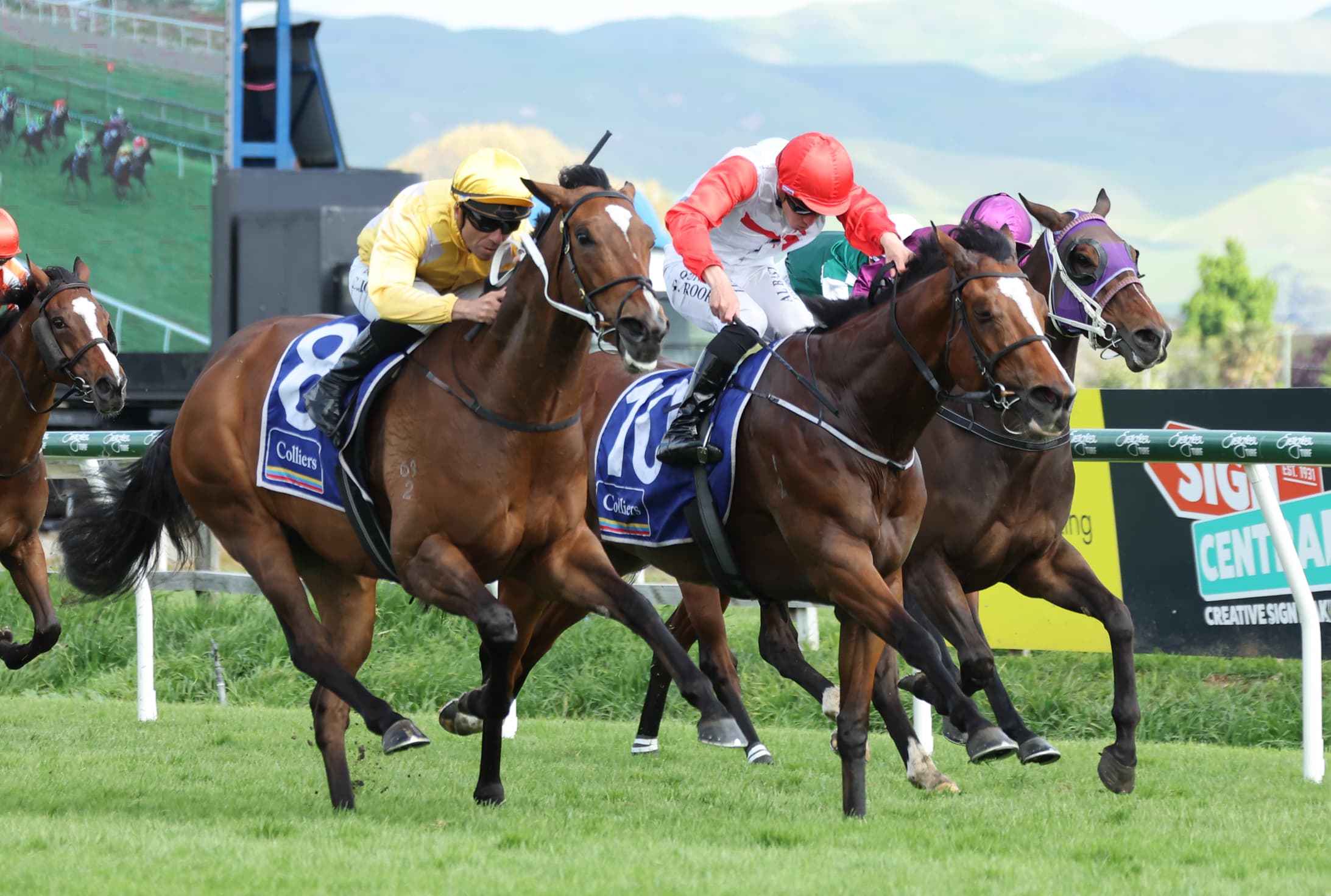 War Princess strikes Hastings hattrick