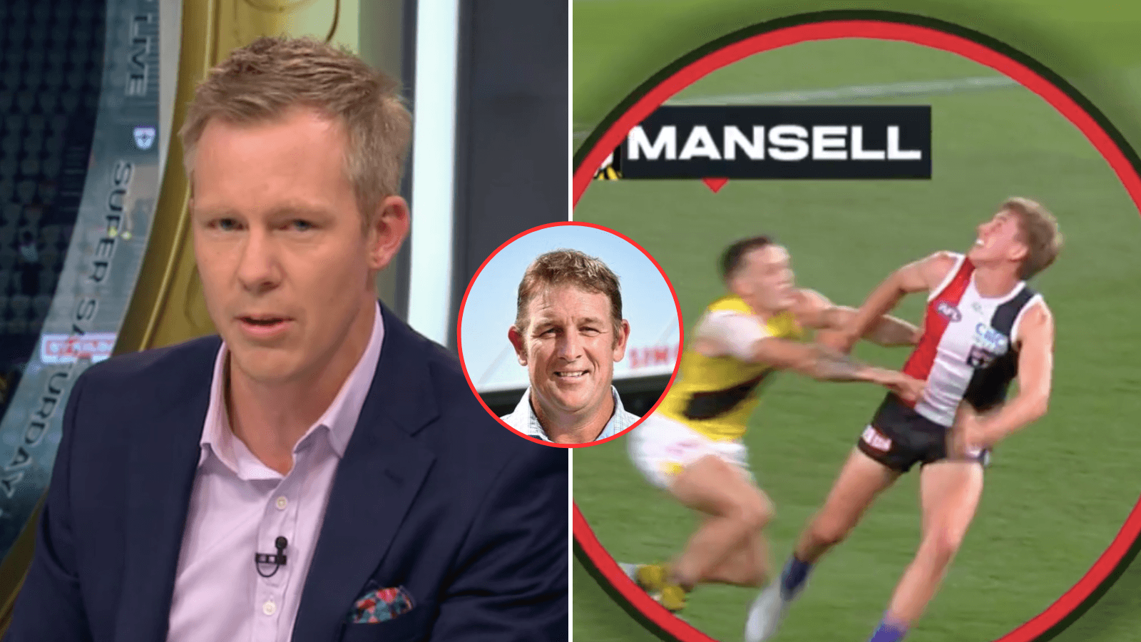 "Rose coloured glasses": Former Demon disputes Riewoldt's take on dangerous Tiger act