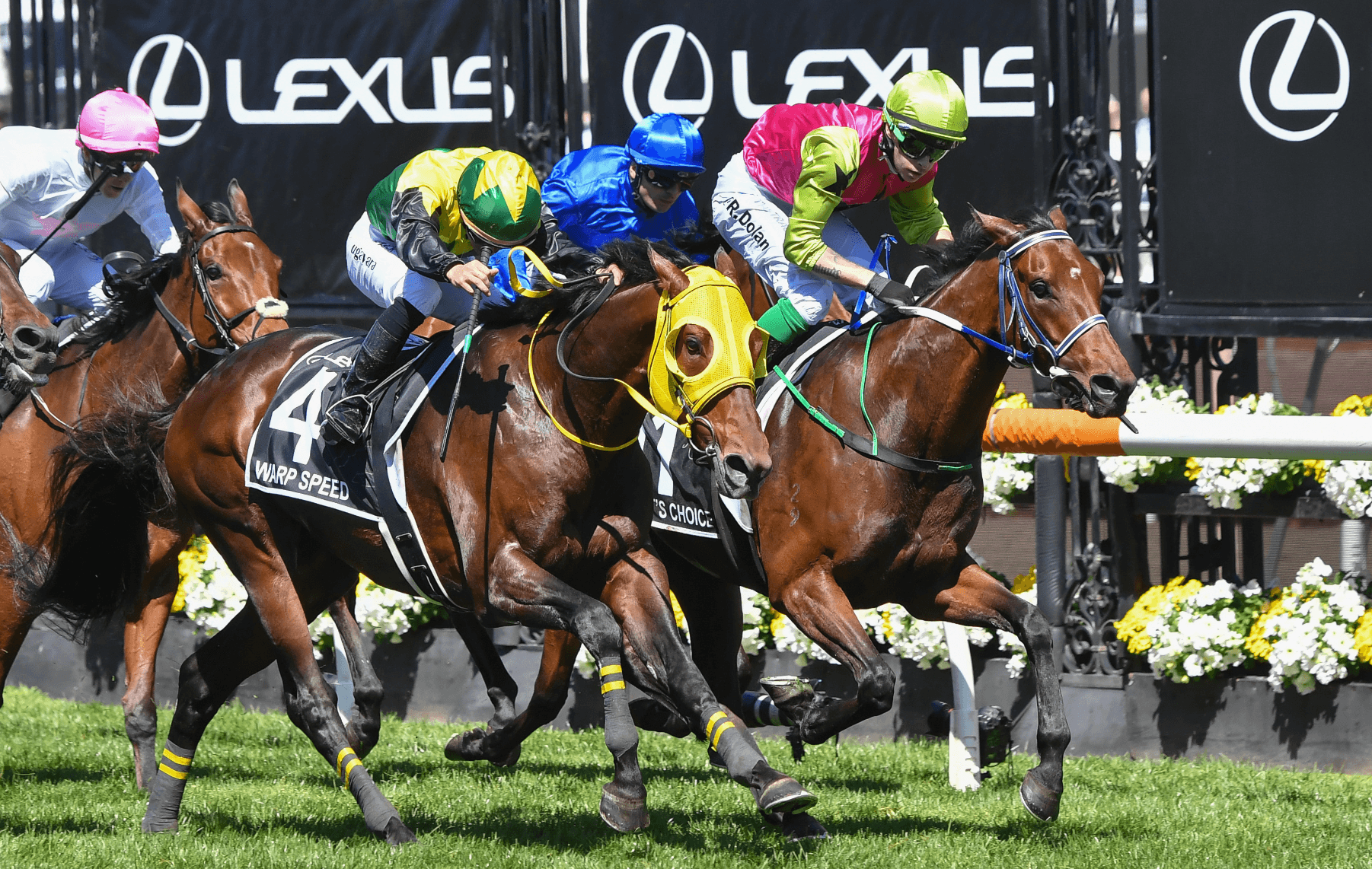 Why Knight’s Choice won’t defend Melbourne Cup