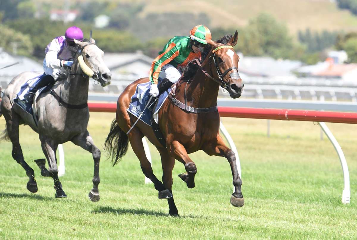 Promising mare resumes at Rotorua