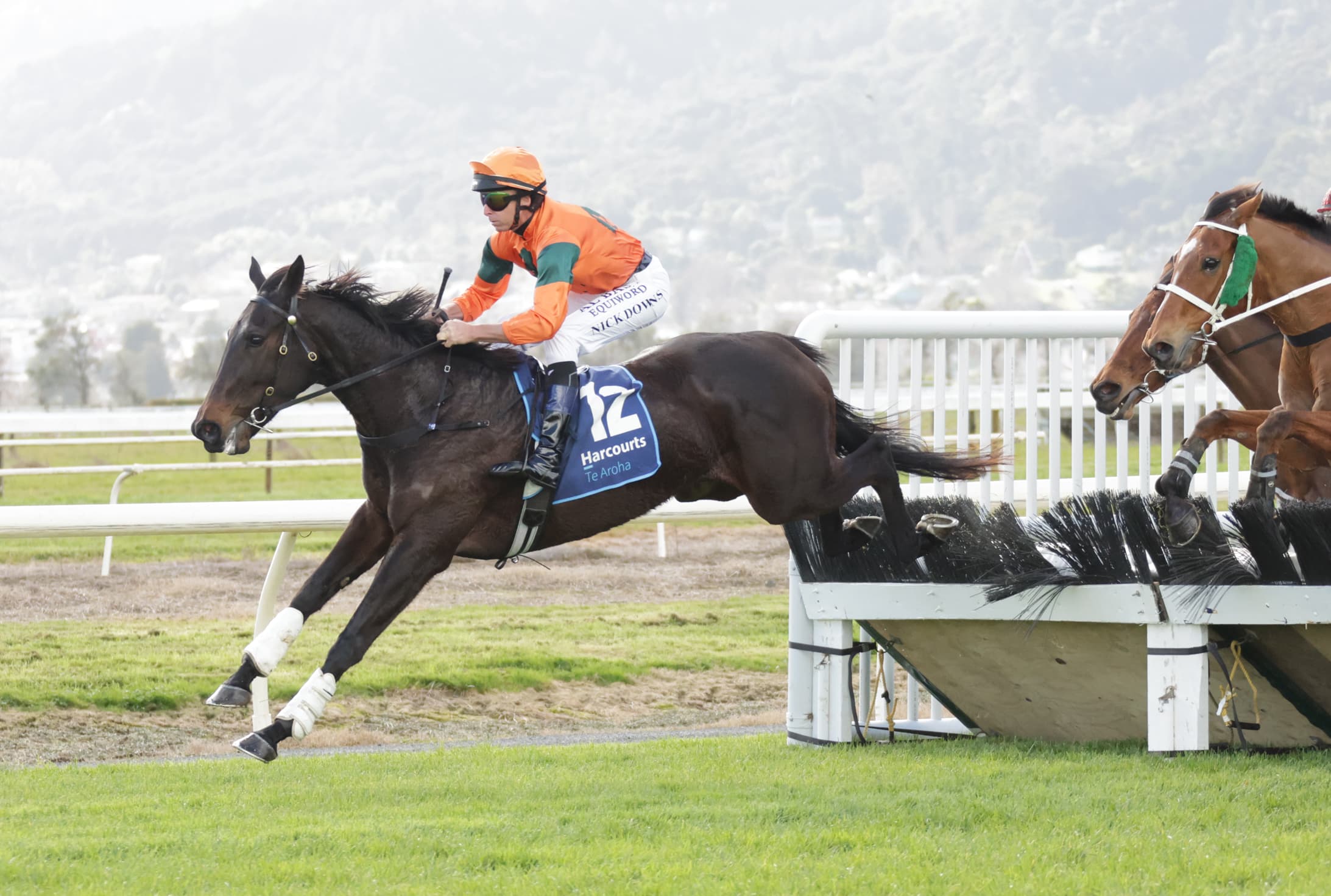 Patience pays off with jumping newbie