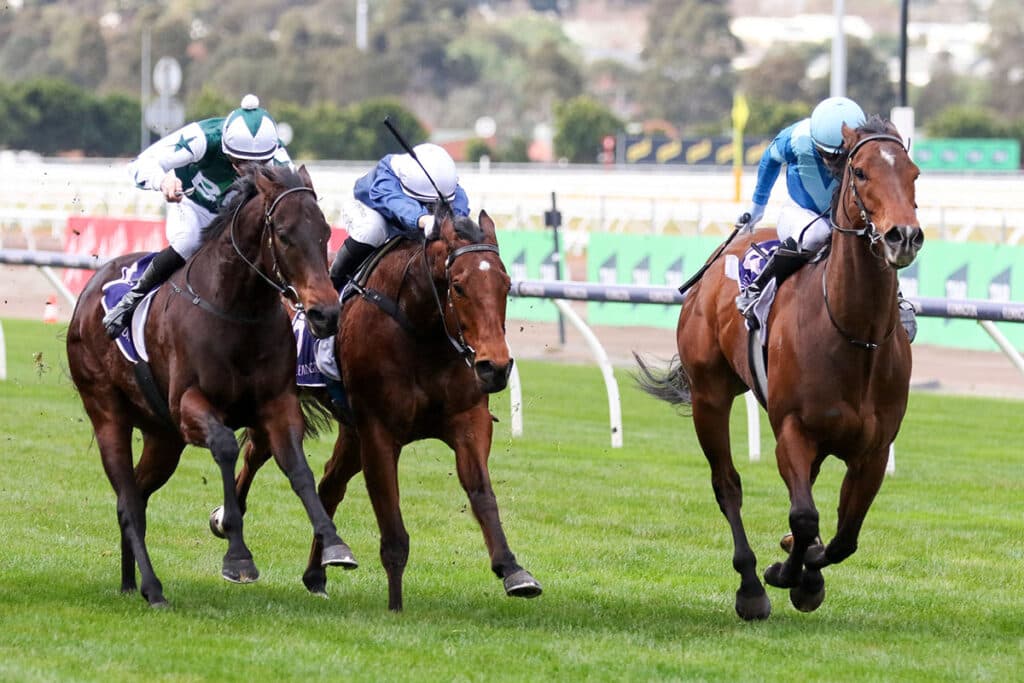 Nakhle has another exciting young prospect