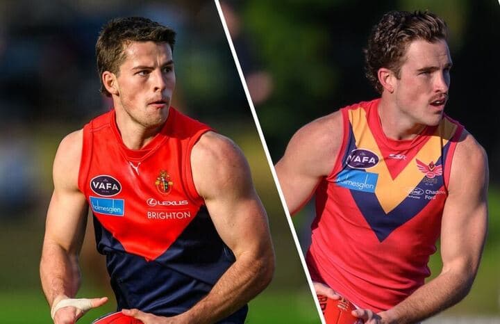 VAFA William Buck Premier Men's Grand Final Preview