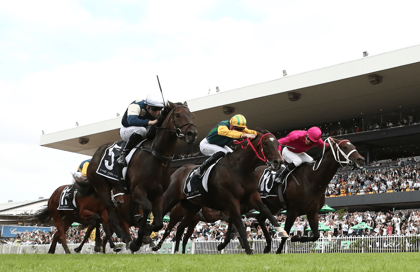 âReady to fireâ: Gannon's Saturday best at Rosehill (29/11)