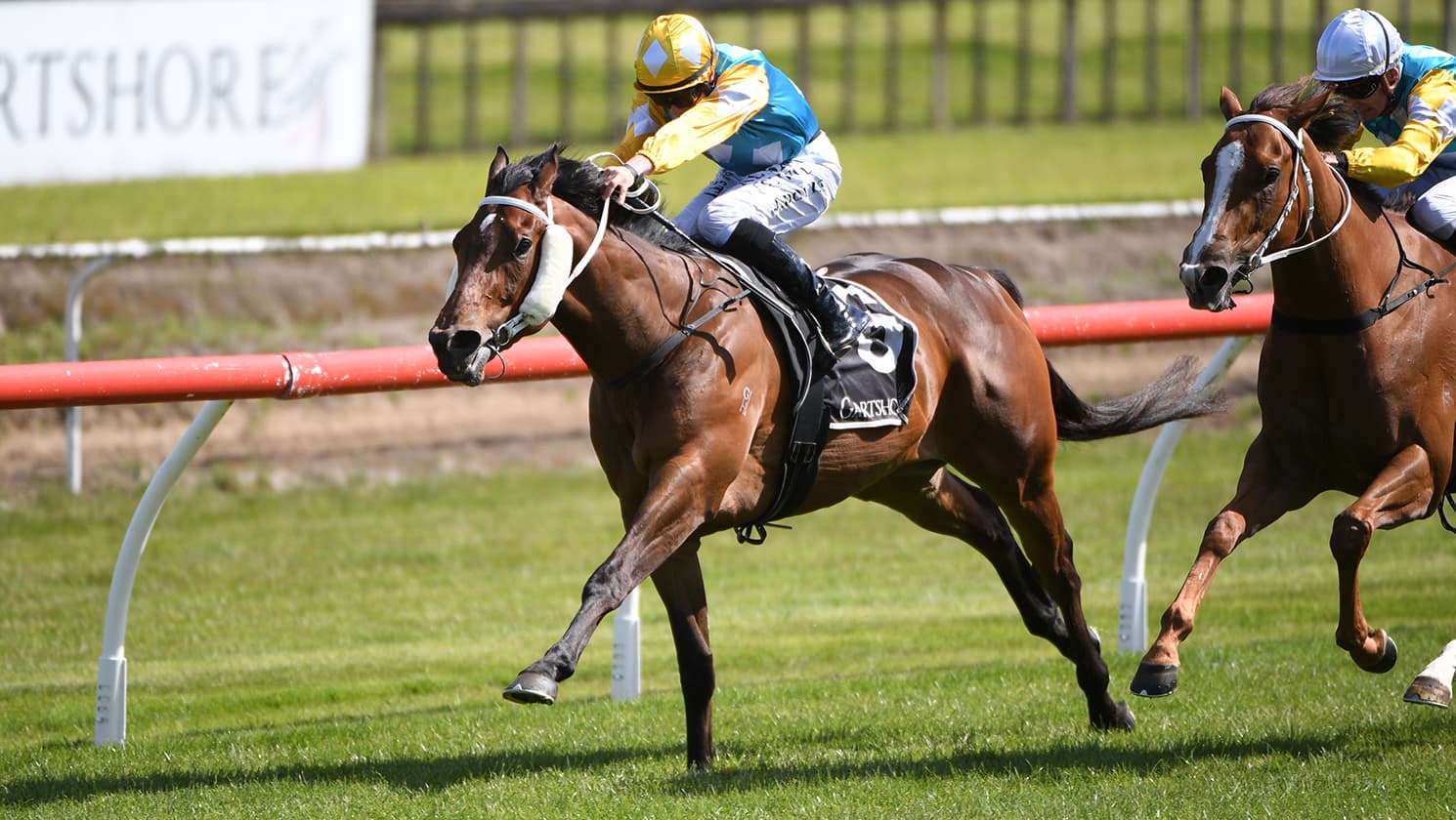 Swiss Prince heads Sarten quinella for Marsh