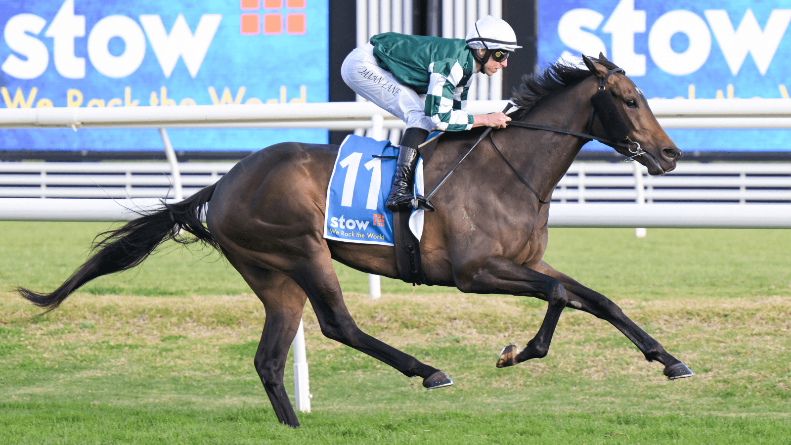 Sebastiani: Treasurethe Moment’s value skyrockets after Memsie win