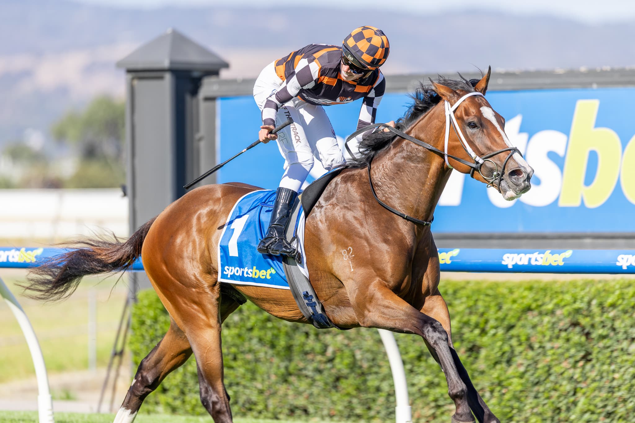 Racing SA's Saturday best bets at Morphettville (18/04)