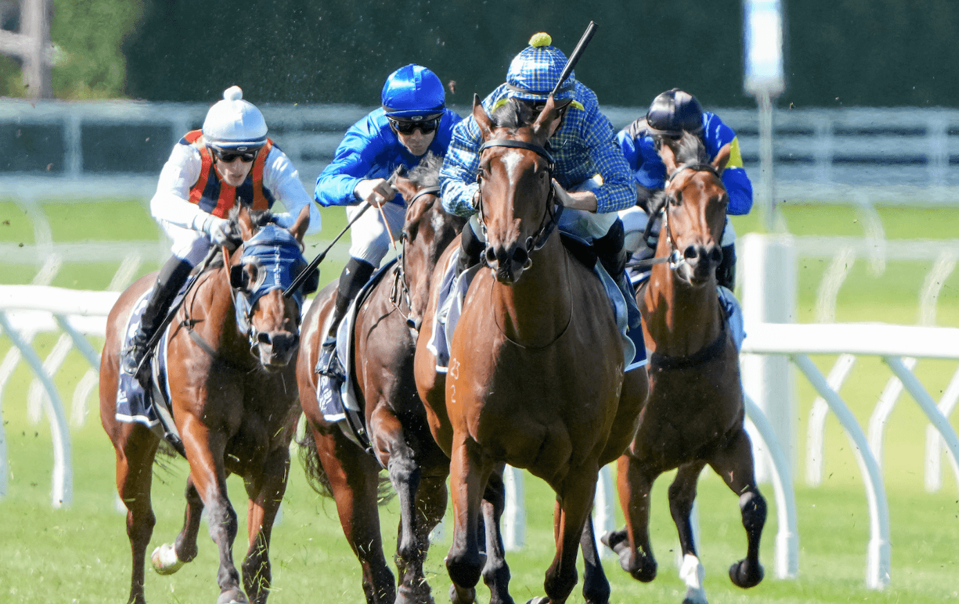 “Oozes potential”: Racing’s most exciting 3YO