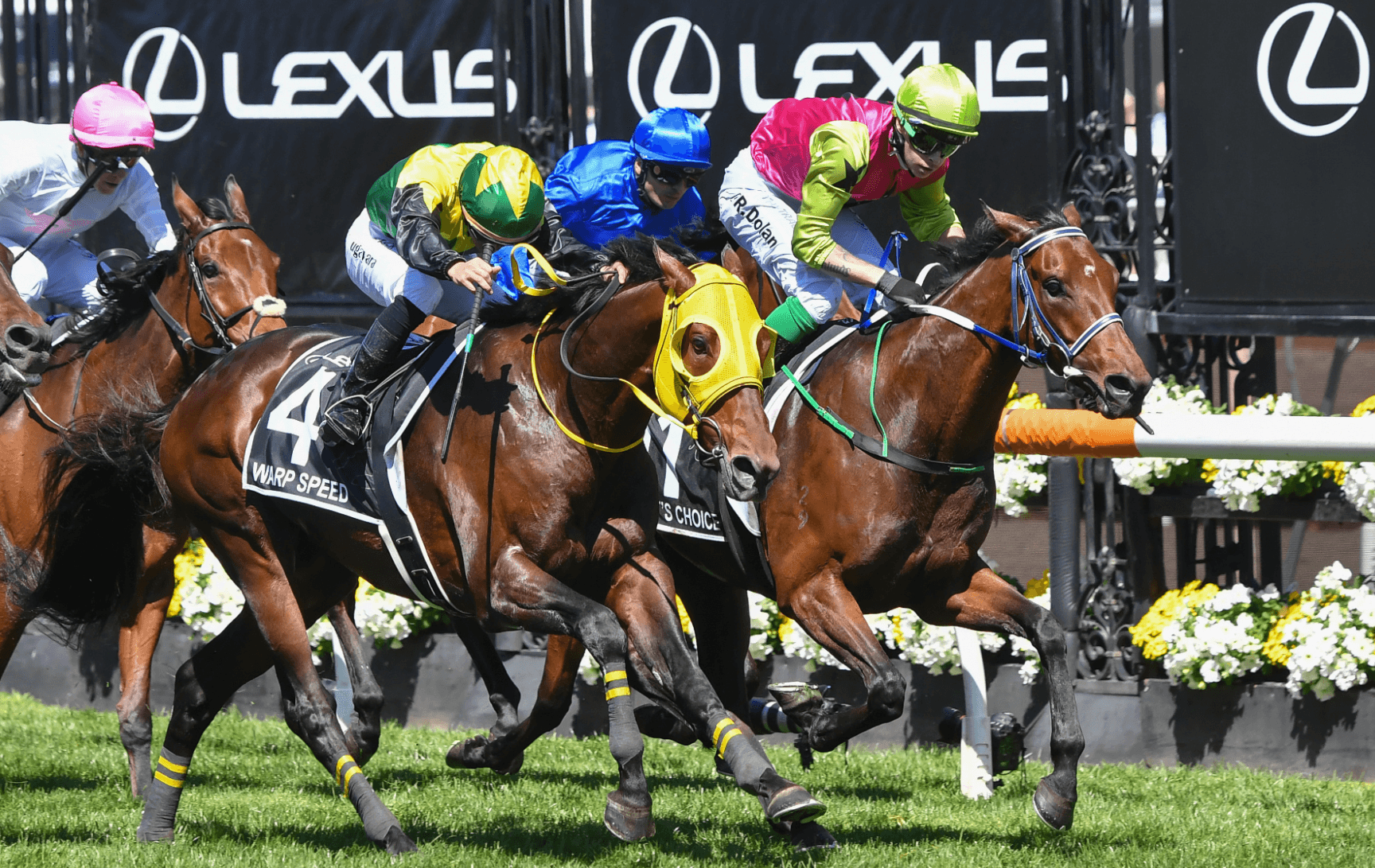 The intriguing stat to help you find the Melbourne Cup winner