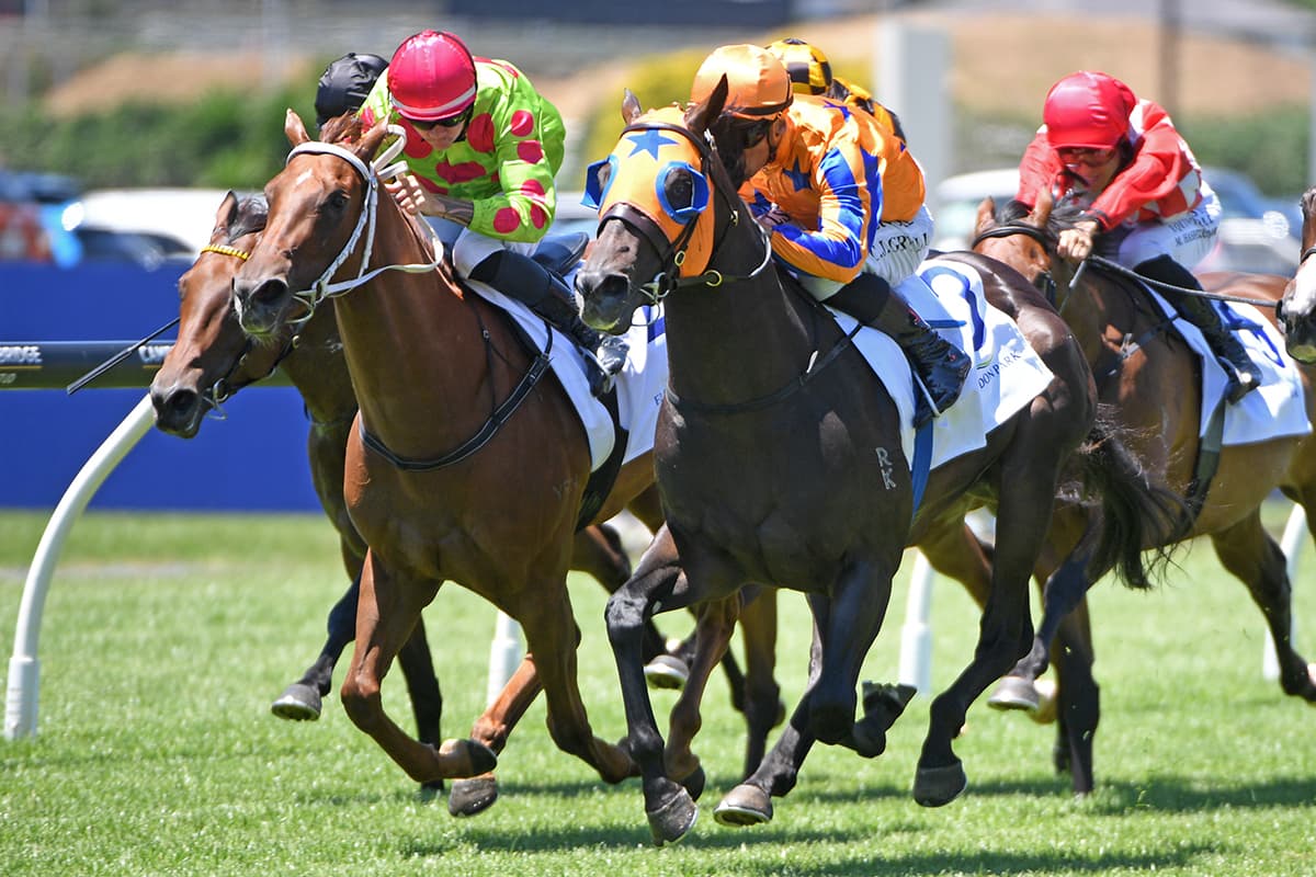 Almanzor Trophy looming for King’s English