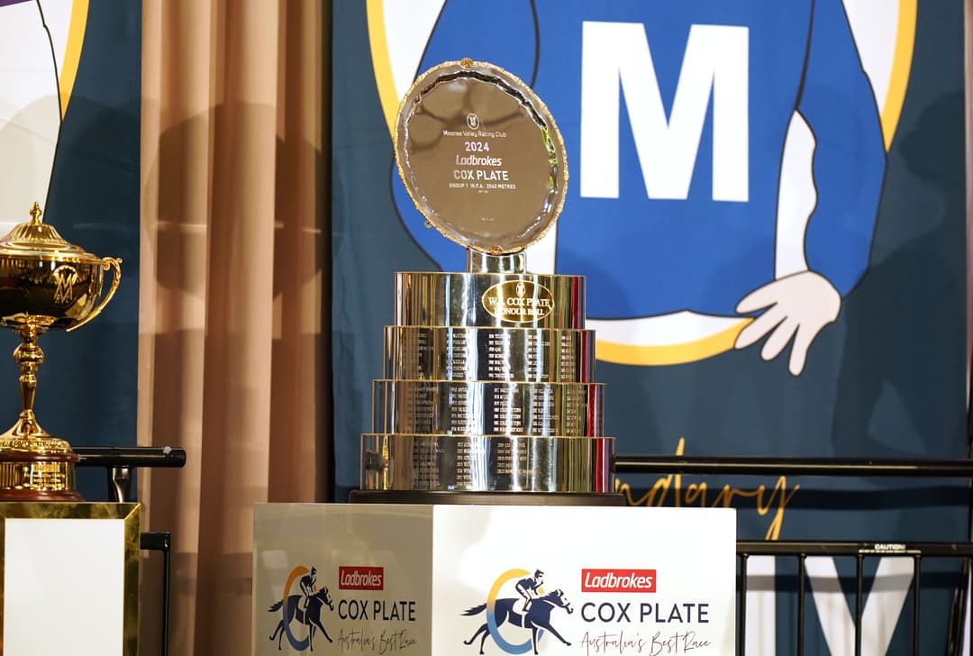 Co. Plate Cox Plate 2025 barrier draw date time: Field, horse, favourite